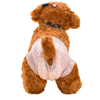智匯の犬の紙のズボンベぺたの犬のおむつの犬の生理のズボンンの月经の犬のおむつの切れる生理のズボンツの赤い（女性）XL
