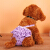 智汇の犬の生理のズボンンの月经のズボンンの犬のセクラのバラはズボンボンのテディベアの中で小型の犬の着の用品のピンクを防止しますM