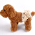 AiBao Petスペーツ生理ズボン犬生理パン背もたられたテイルズ犬の生理ズボンピー系(深浅色ランダー髪)Lサイズウ35-45 cm(10-15斤に適)