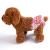 AiBao Petスペーツ生理ズボン犬生理パン背もたられた泰迪犬の生理ズボン黄色系(深浅色ランダー髪)Sサイの腹回り15-25 cm(2-6斤に適)