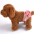 AiBao Petスペーツ生理ズボン犬生理パン背もたられたテイルズ犬の生理ズボンピー系(深浅色ランダー髪)Lサイズウ35-45 cm(10-15斤に適)