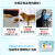 【四免一を買う】犬おむつと犬おむつの排尿片犬用品ネコロニ号20個のセイント(60*90 cm)