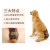 犬の生理ズボンベ卫生ズボンボンのおばんざいの金毛の大きな犬の月经のズボンンの犬の発情期の安全なズボンンの生理のズボンンM-ウエストの48-62 cmに适します。