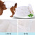 カノンペシ犬用纸パパペチー4-10斤12片